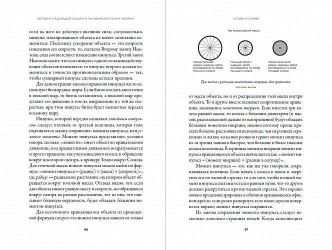 Загадка падающей кошки и фундаментальная физика фото книги 3