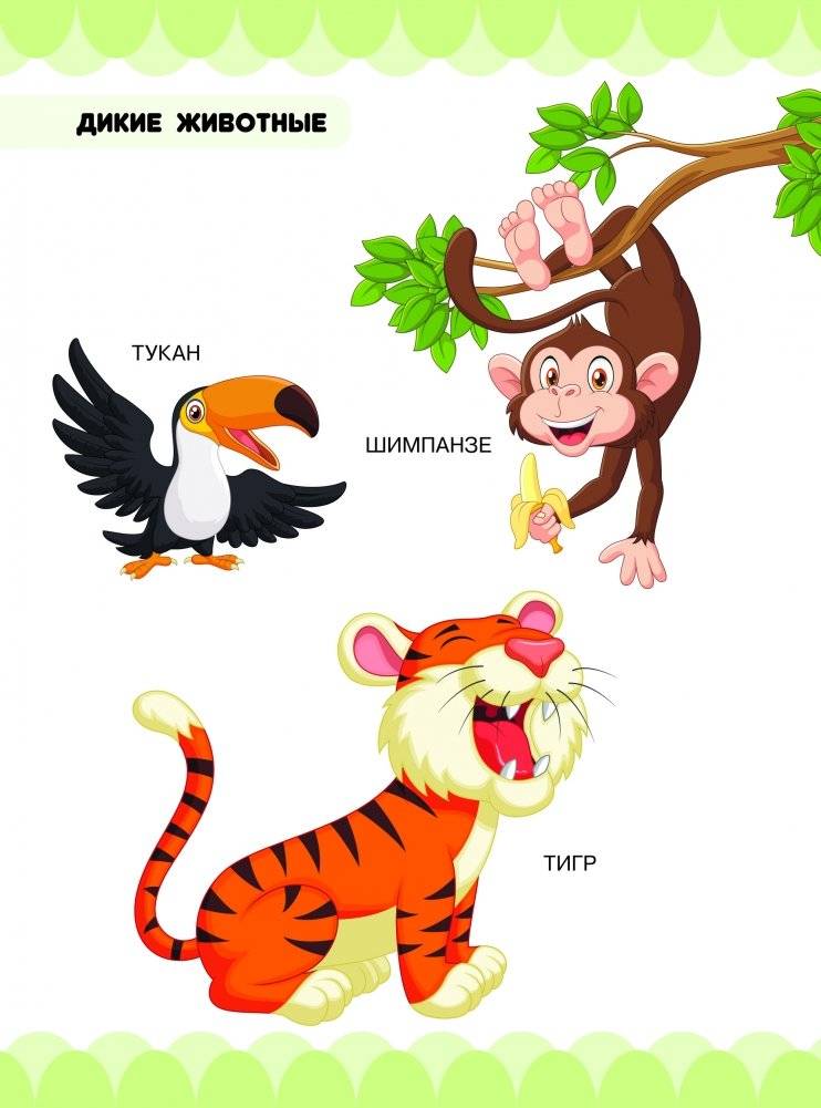 Дикие животные фото книги 2