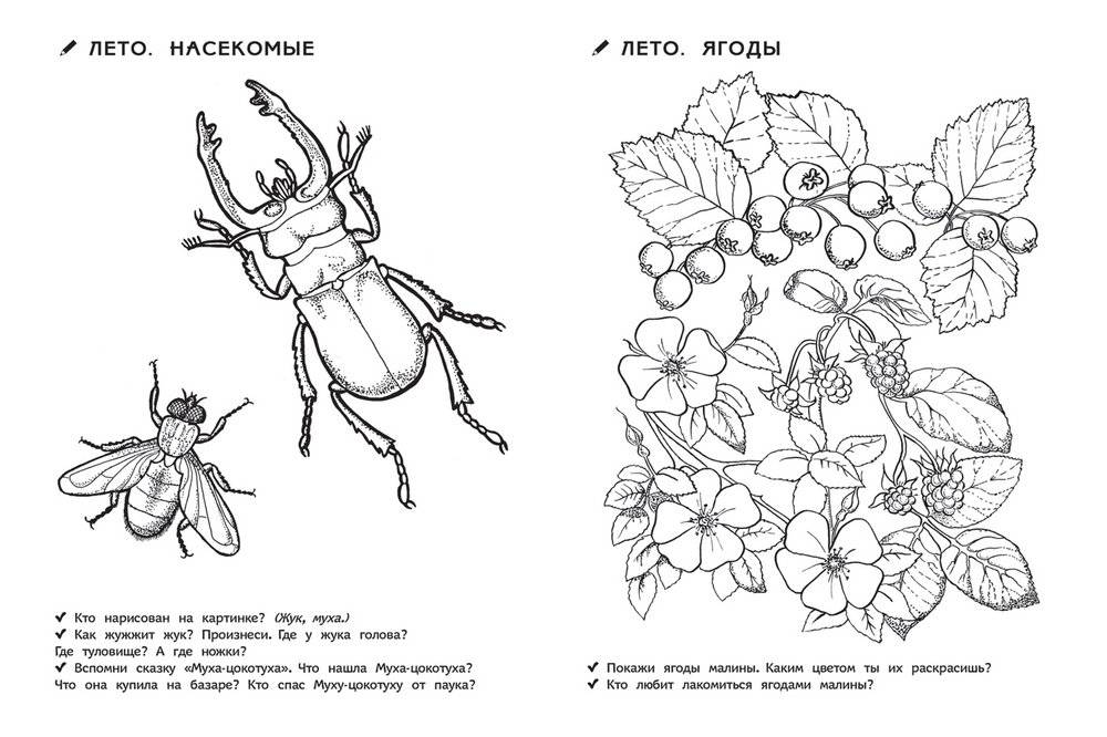 Раскраска для детского сада. Времена года фото книги 3