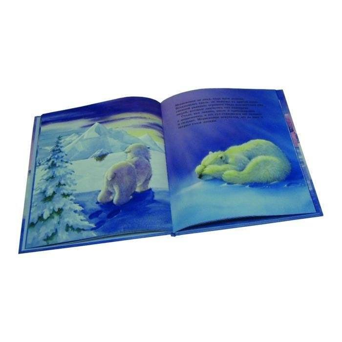 Как медвежонок солнце искал фото книги 6