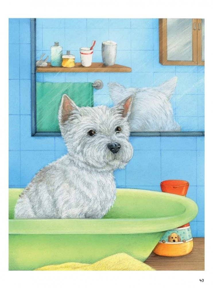 Моя самая красивая книга о кошках и собаках фото книги 14