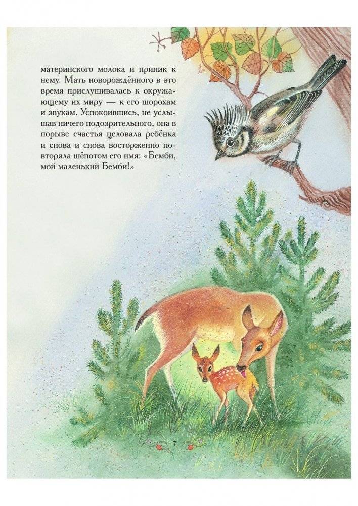 Бемби фото книги 6
