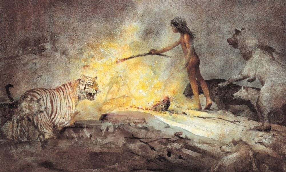 Книга джунглей фото книги 2