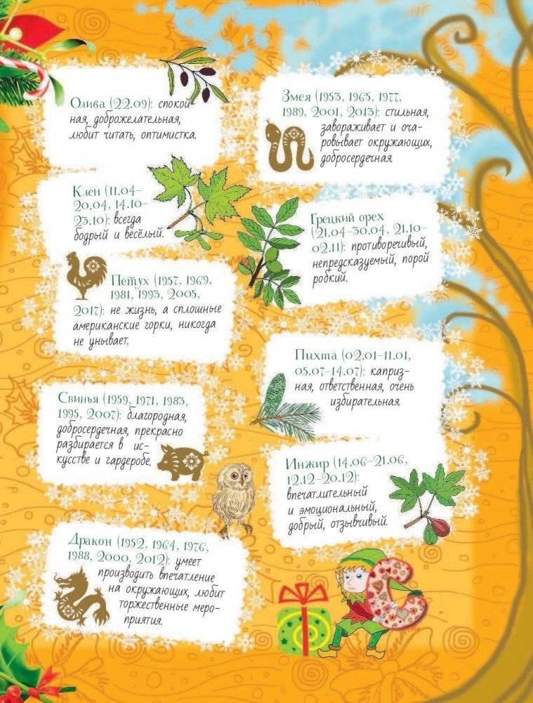 Новогодняя книга исполнения желаний фото книги 10