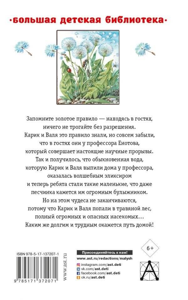 Необыкновенные приключения Карика и Вали фото книги 2
