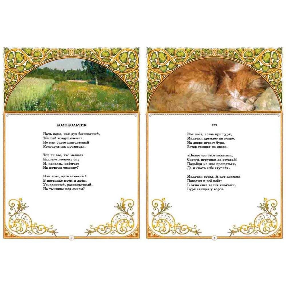 Целый мир от красоты... фото книги 3