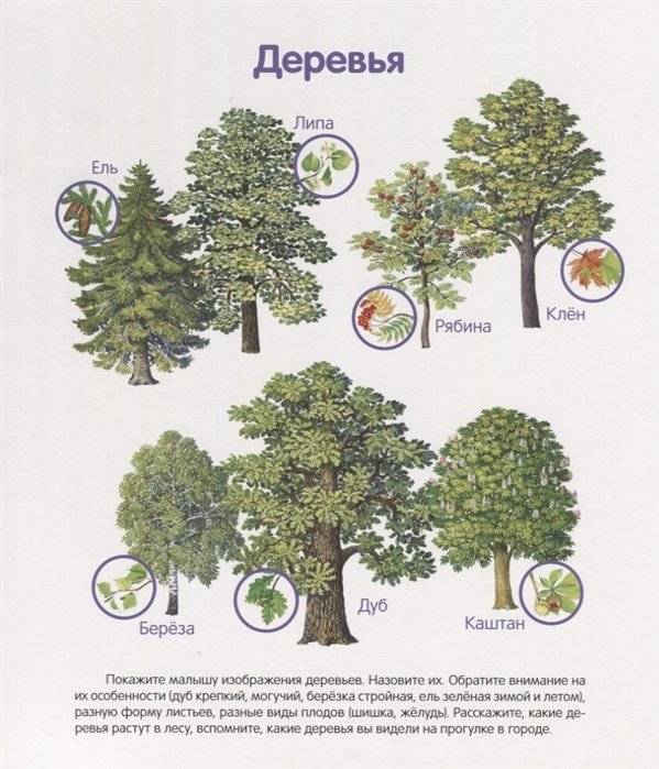 Первая книга малыша фото книги 4