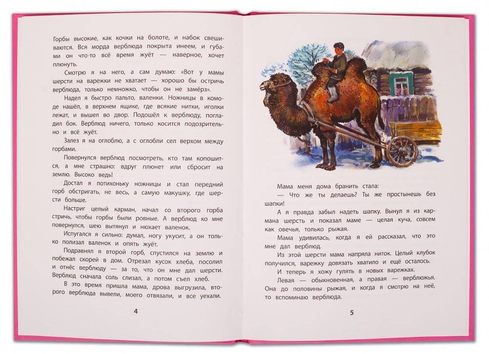 Хитрый бурундук фото книги 2