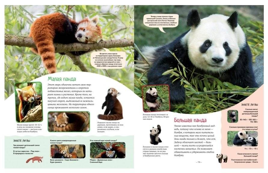 Яркий мир животных фото книги 5