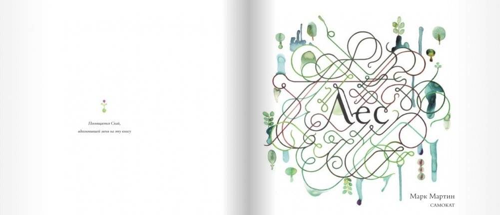 Лес фото книги 2