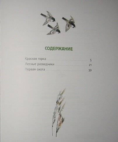 Лесные разведчики фото книги 2