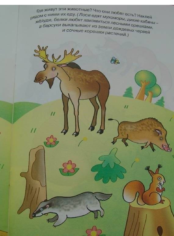 Знакомимся с природой (3-4 года) фото книги 7