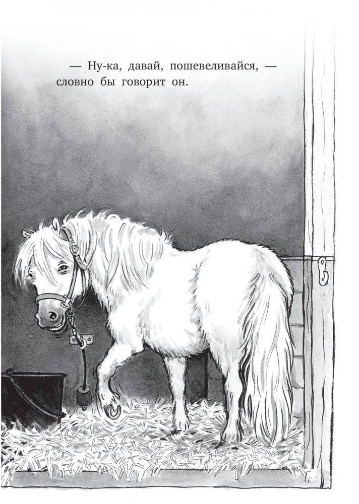 Вперёд, Сигге! фото книги 3