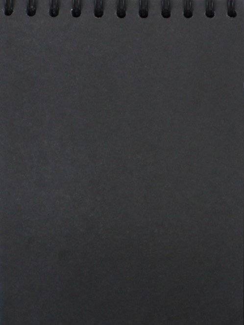 Вазарелли. Зебры. Скетчбук фото книги 2