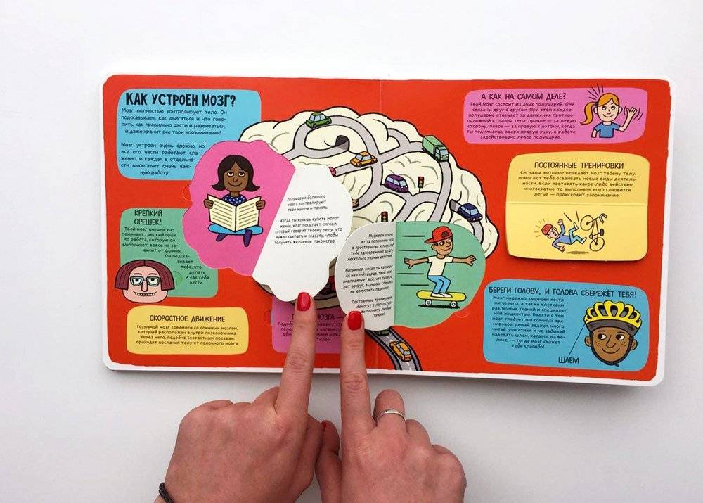 Удивительное тело (книжка с окошками) фото книги 4