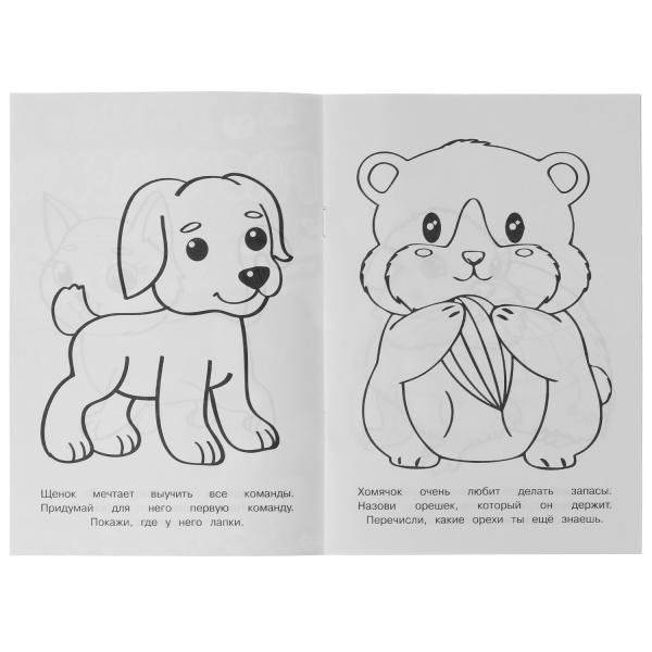 Раскраска-малышка. Милые питомцы. 16 заданий фото книги 4