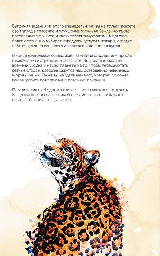 Спасем планету. Еженедельник для тех, кто заботится о природе (Лиса) фото книги 4