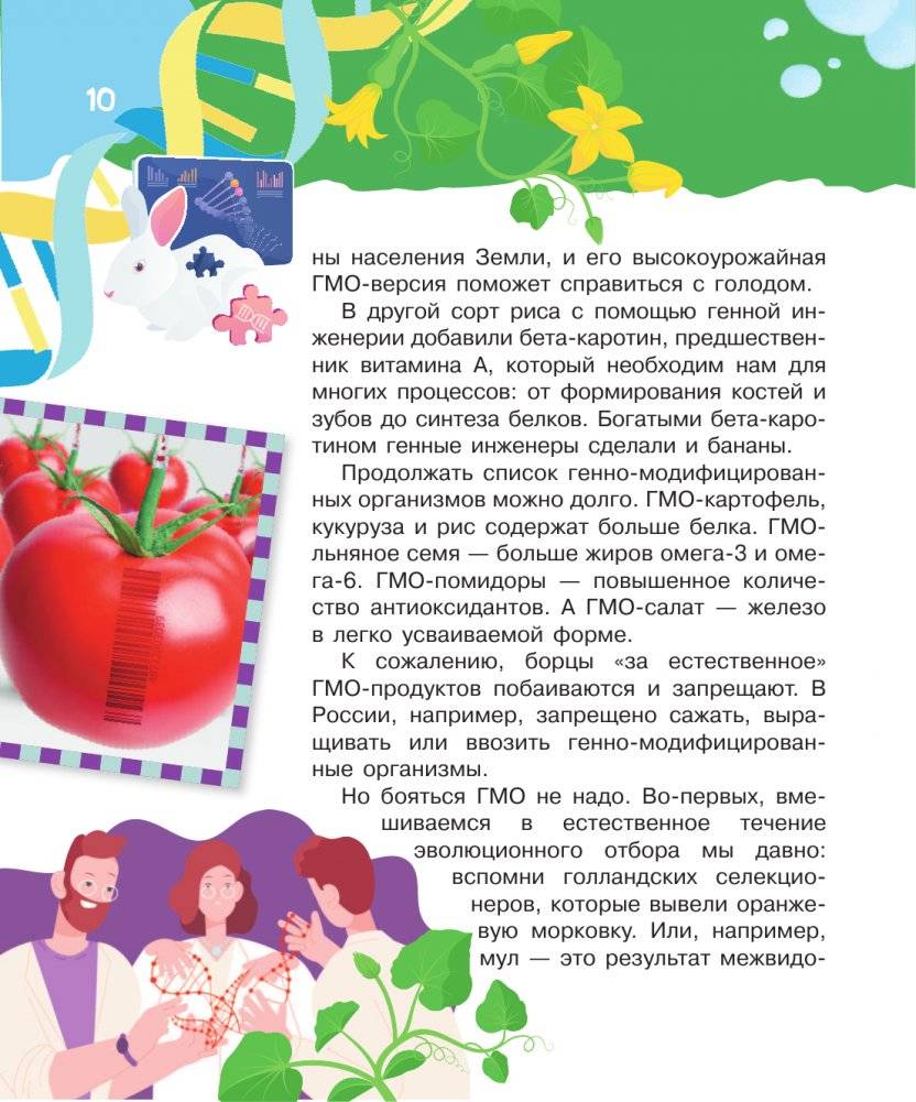 Что, где, когда и почему. Самые интересные вопросы и ответы о будущем фото книги 11