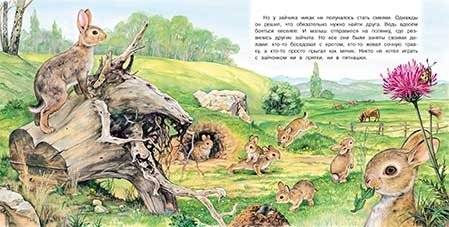 Приключения зайчонка фото книги 2