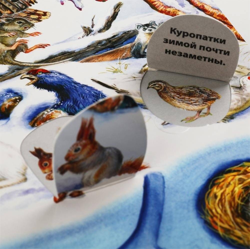 Развивающая книга с окошками "Виммельбух. Животные" фото книги 5