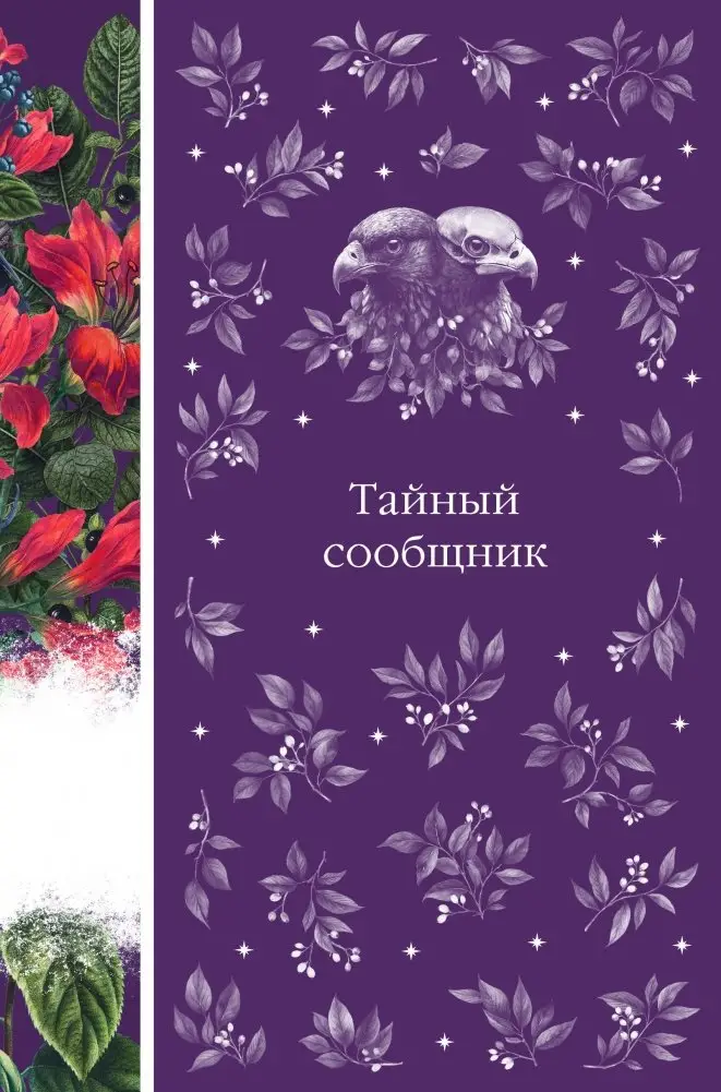 Тайный сообщник (книга #8) фото книги