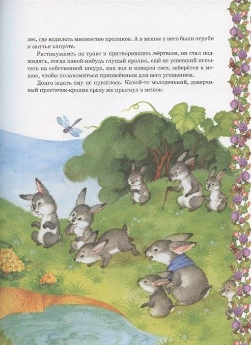 Самые красивые сказки фото книги 4