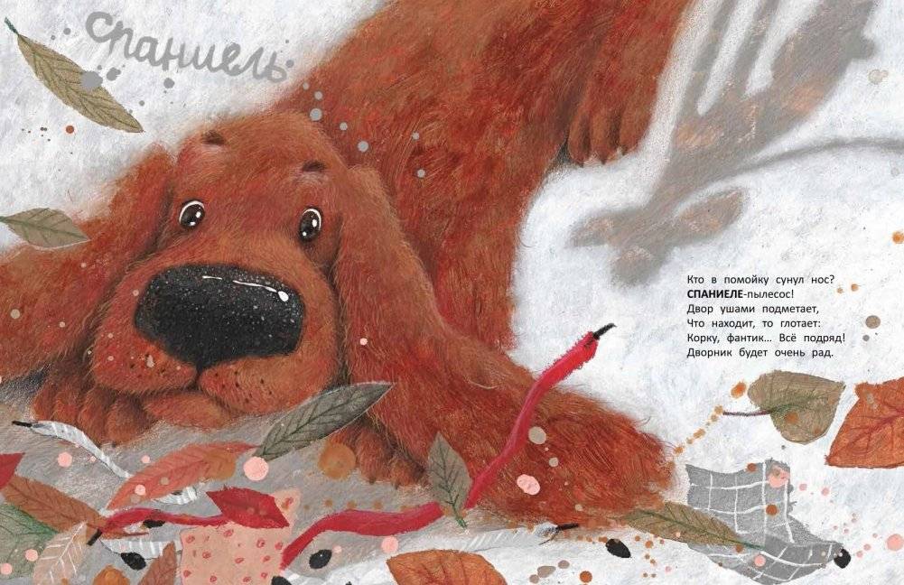 Вышел пудель погулять фото книги 5