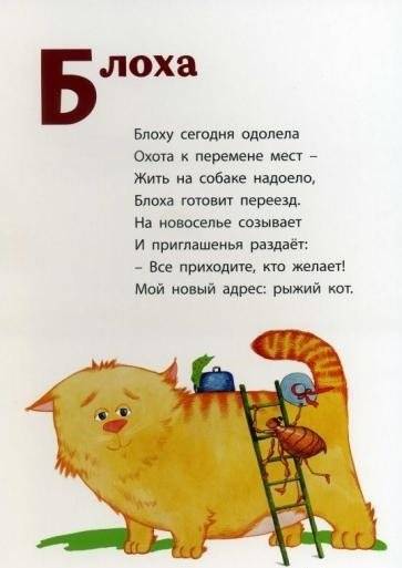 Знакомые насекомые фото книги 2