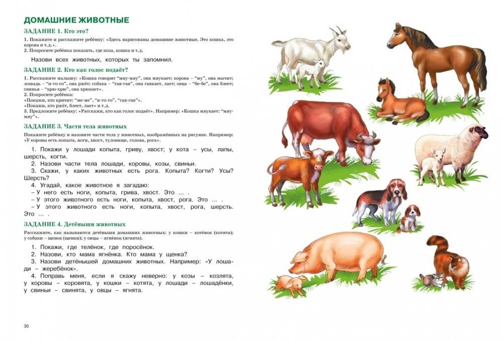 Развитие речи. Уроки с логопедом фото книги 5