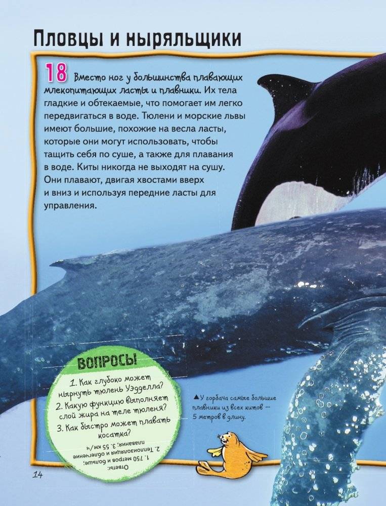 Животные фото книги 15