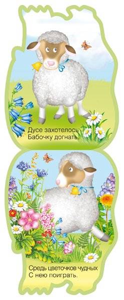 Овечка фото книги 4