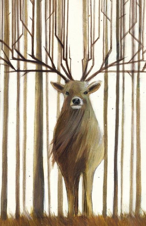 Диковинные животные фото книги 2