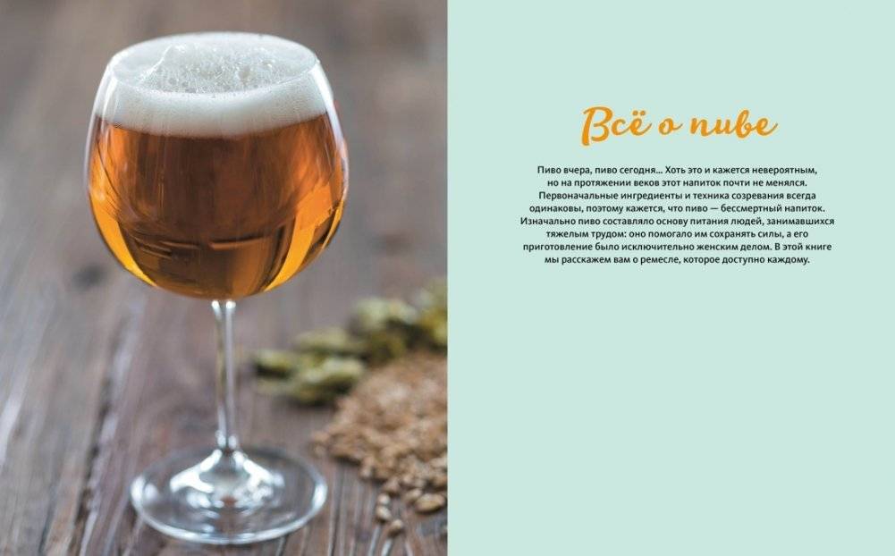 Beer Expert: Пиво. Идеальный путеводитель по сортам, видам, рецептам фото книги 4