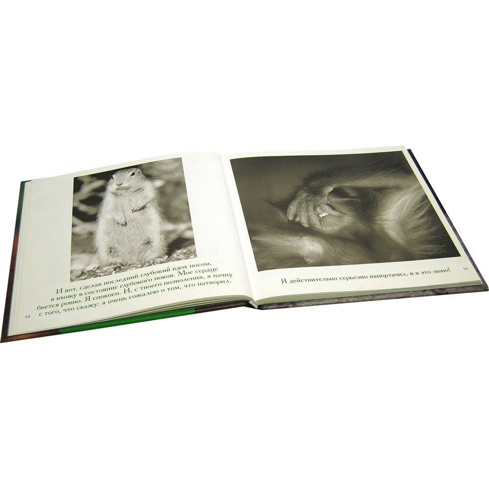 Прости меня... фото книги 5