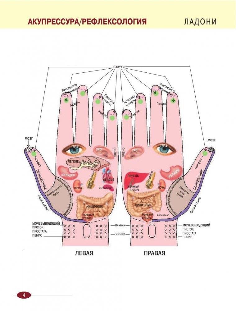 Акупрессура фото книги 5