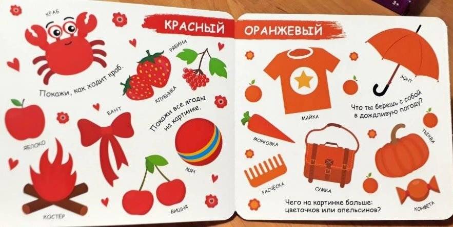 Книжка-гармошка. Цвета фото книги 4