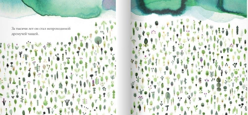 Лес фото книги 4