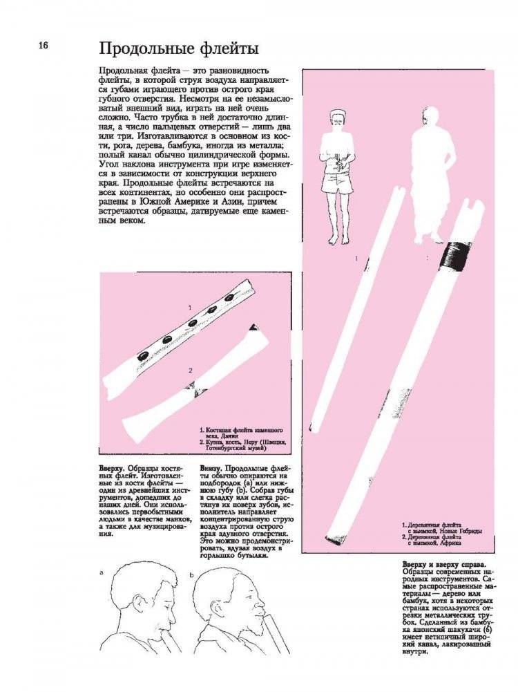 Музыкальные инструменты мира. Иллюстрированная энциклопедия фото книги 5