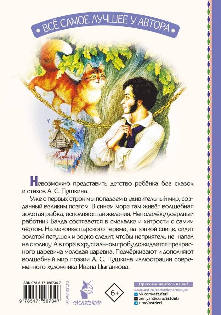 Сказка о рыбаке и рыбке. Сказки и стихи фото книги 16