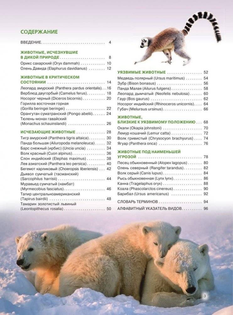 Красная книга. Животные мира фото книги 4