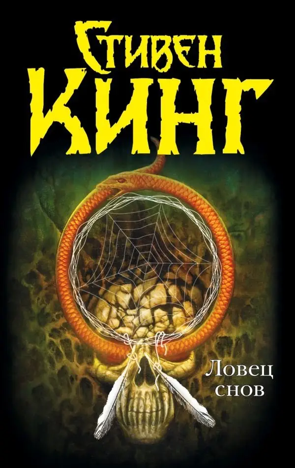 Ловец снов фото книги