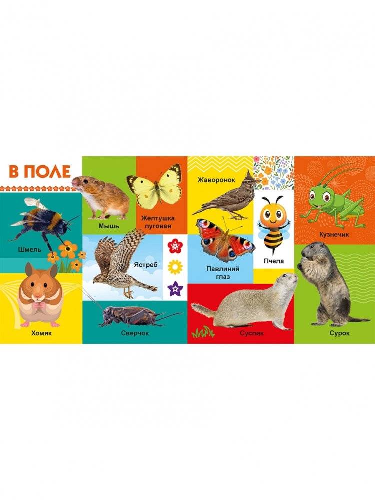 Твои любимые книжки. Животные фото книги 3