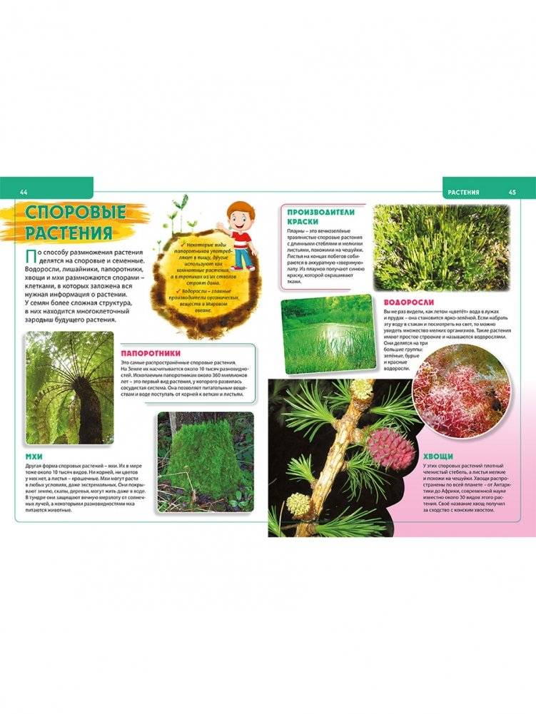 Обо всём на свете. Энциклопедия для будущих отличников фото книги 6