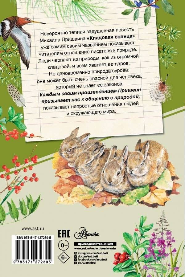 Кладовая солнца фото книги 2