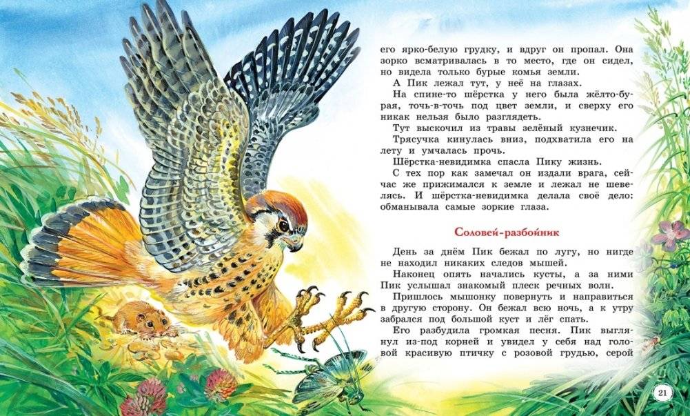 Сказки и рассказы о животных фото книги 7