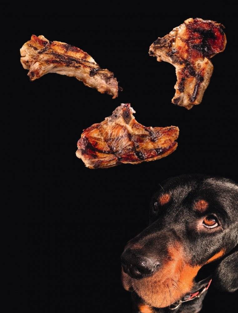 Мужская кухня фото книги 2