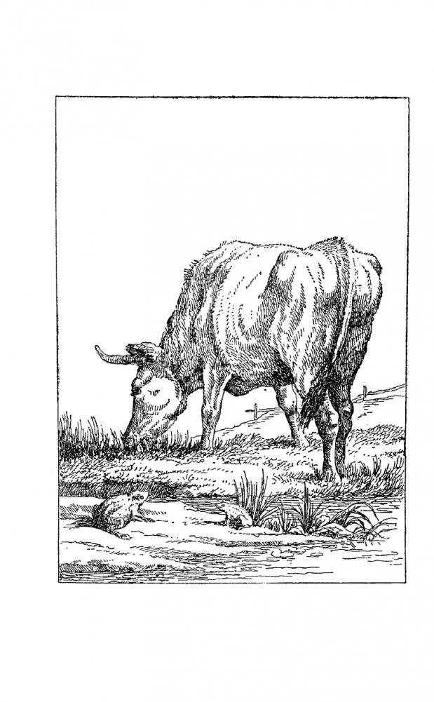 Басни фото книги 13