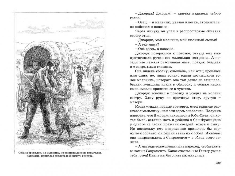 Маленький золотоискатель фото книги 5