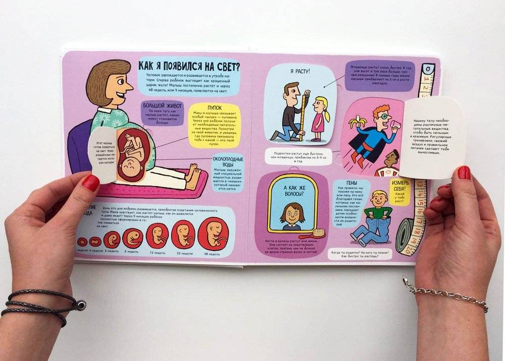 Удивительное тело (книжка с окошками) фото книги 2