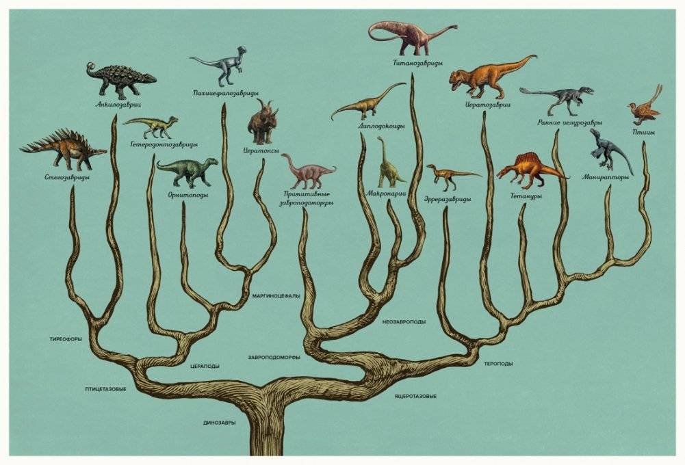 Динозавриум фото книги 3